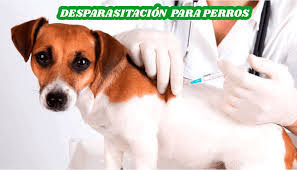 Desparasitación Interna y Externa / $35.000