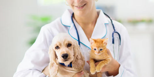 Consulta Veterinaria General /$80.000